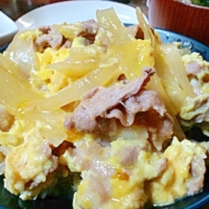 お手軽美味!たっぷり卵とお肉で他人どんぶり